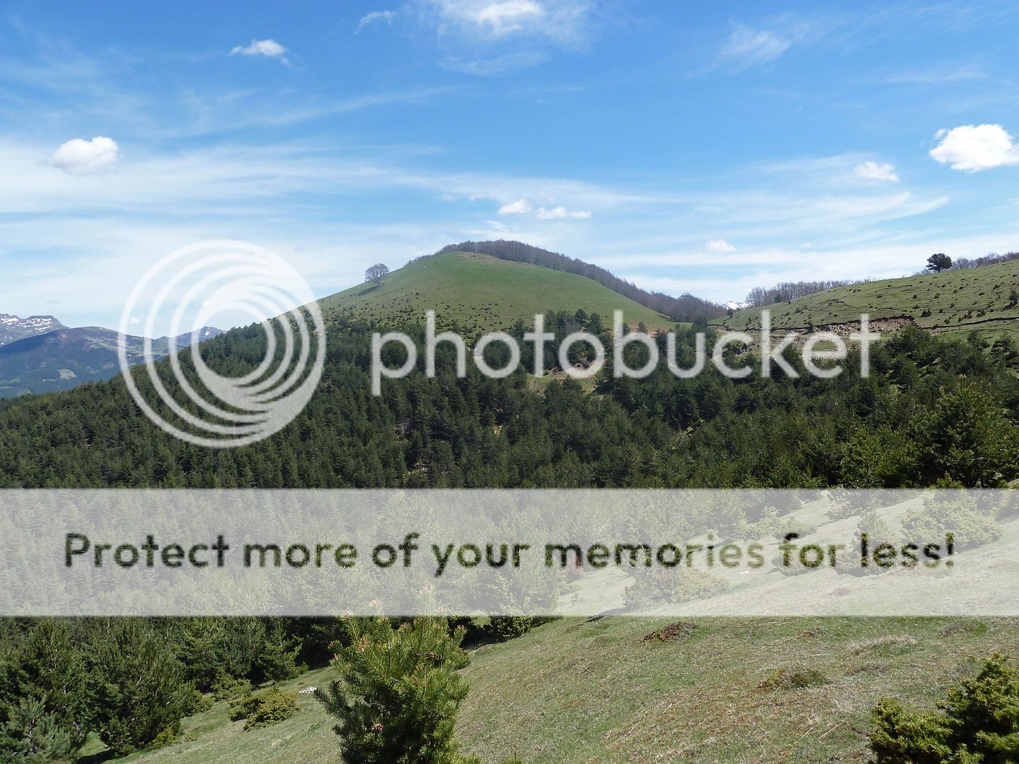 Photo Sharing and Video Hosting at Photobucket