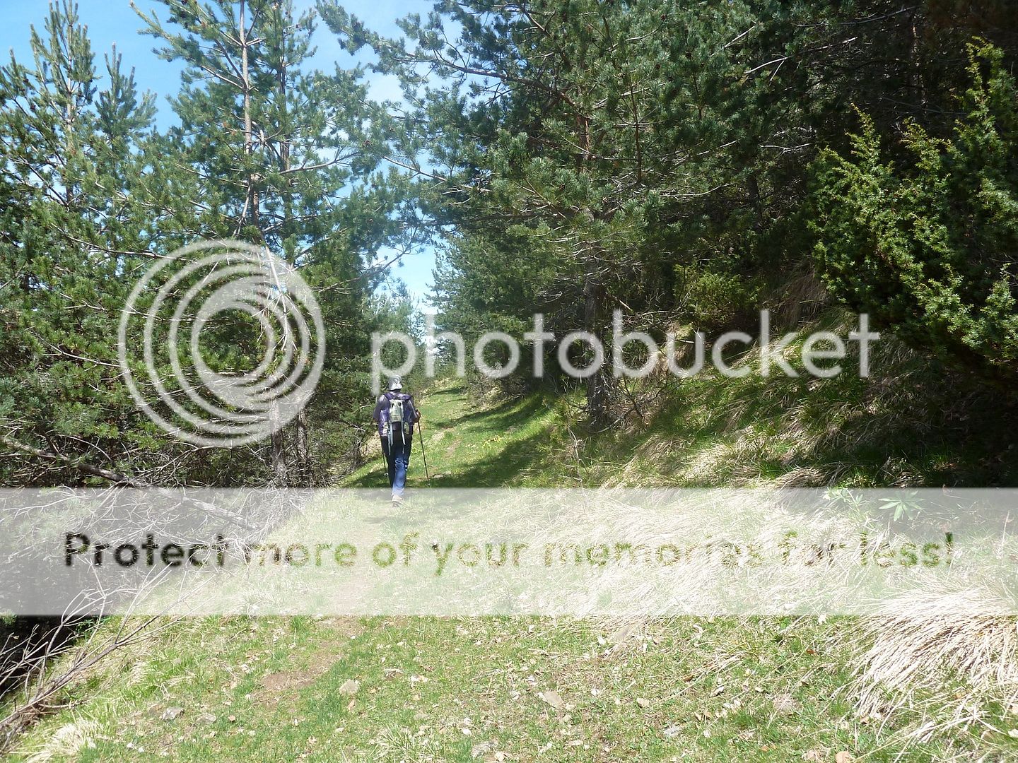 Photo Sharing and Video Hosting at Photobucket