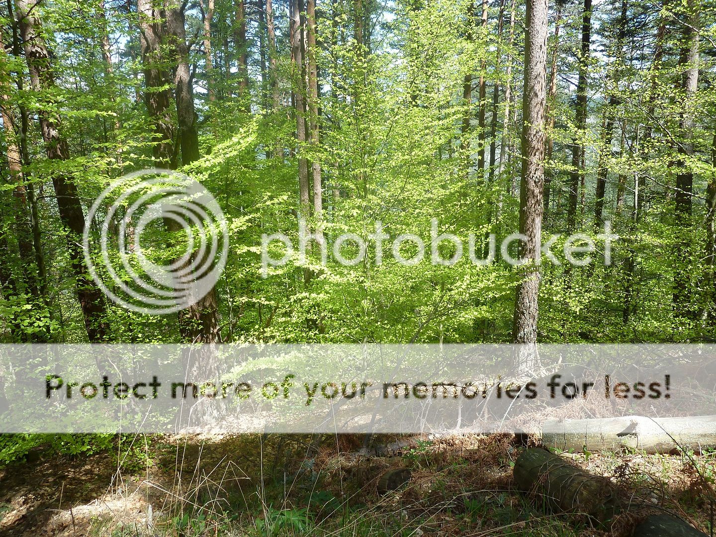 Photo Sharing and Video Hosting at Photobucket