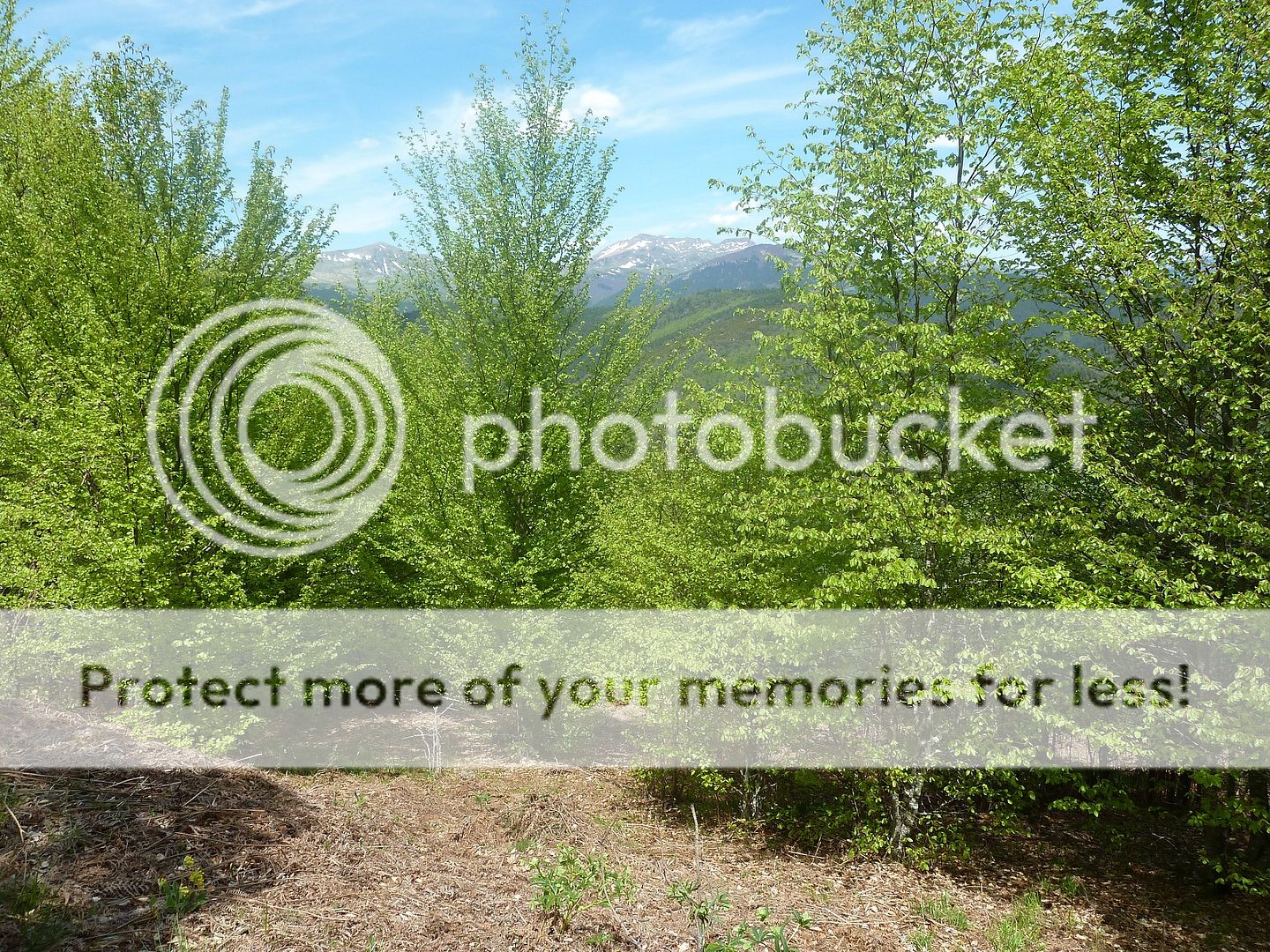 Photo Sharing and Video Hosting at Photobucket