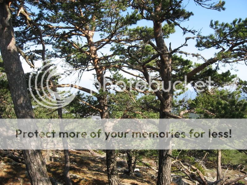 Photo Sharing and Video Hosting at Photobucket