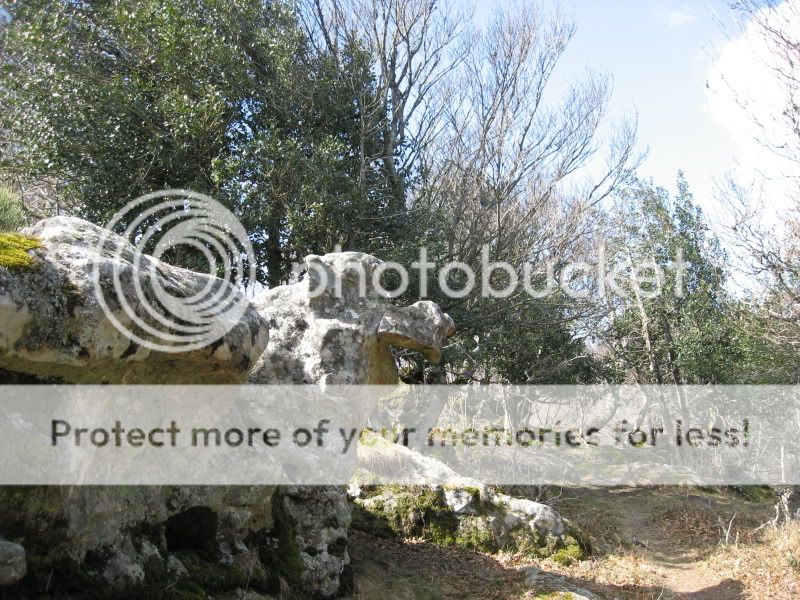 Photo Sharing and Video Hosting at Photobucket