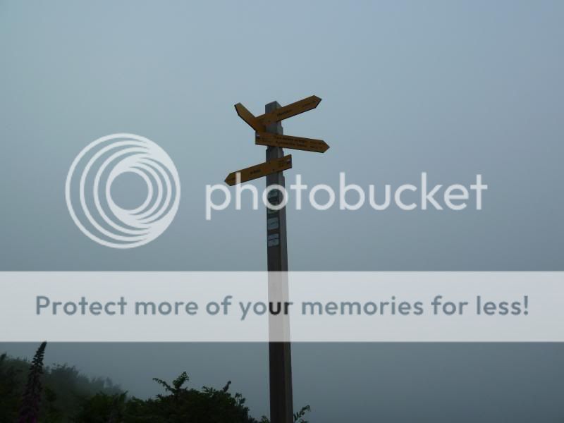 Photo Sharing and otobucVideo Hosting at Phket