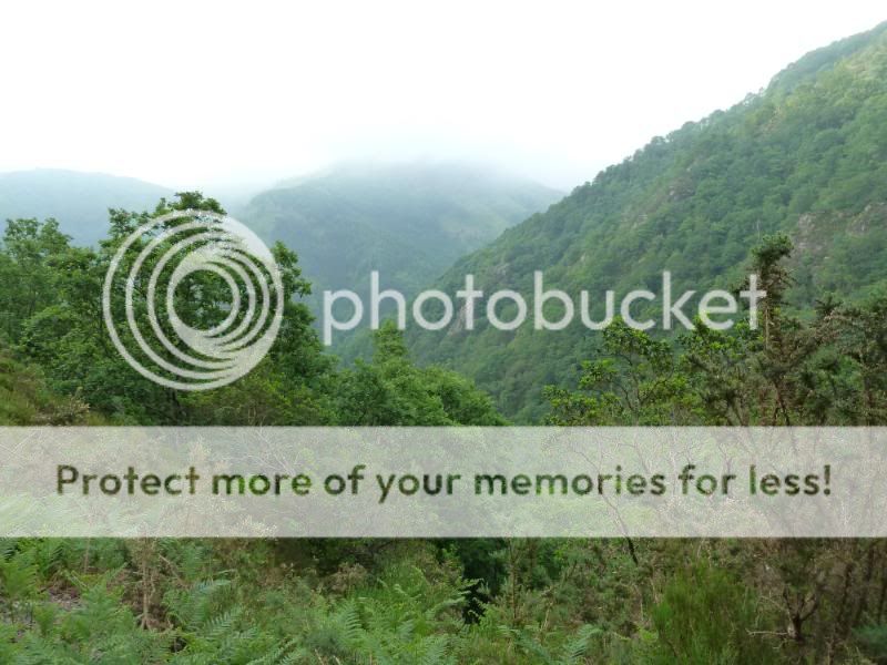 Photo Sharing and otobucVideo Hosting at Phket