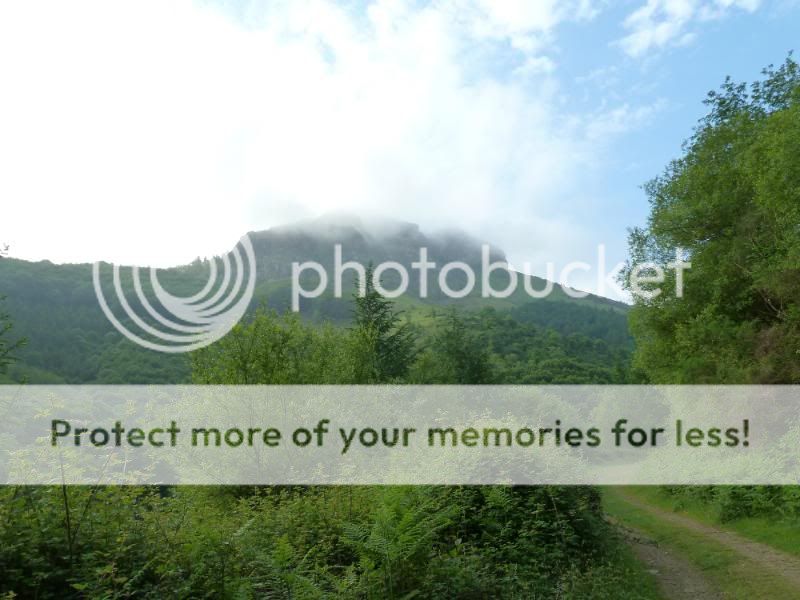 Photo Sharing and otobucVideo Hosting at Phket
