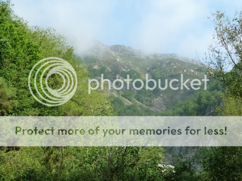 Photo Sharing and otobucVideo Hosting at Phket