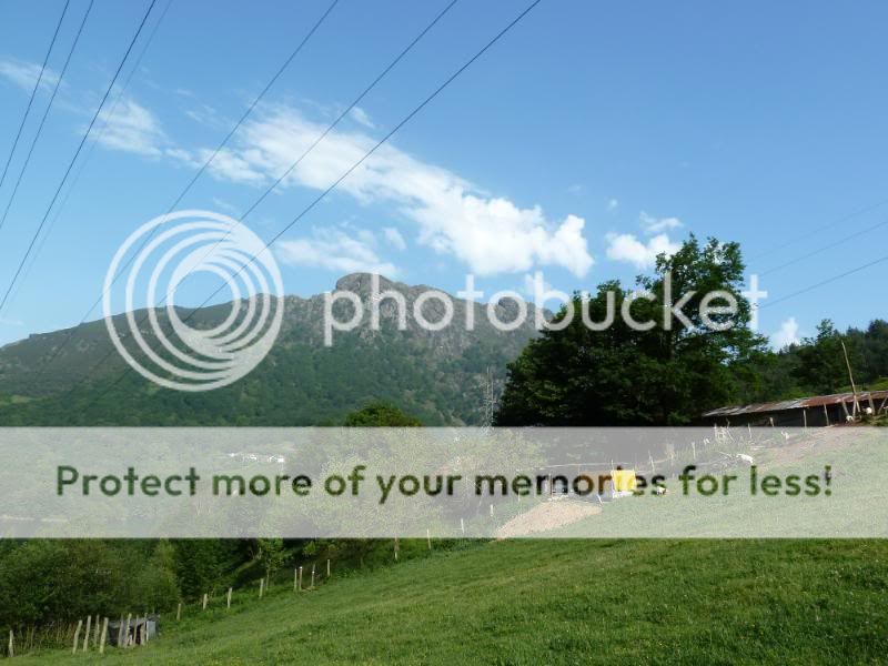 Photo Sharing and otobucVideo Hosting at Phket