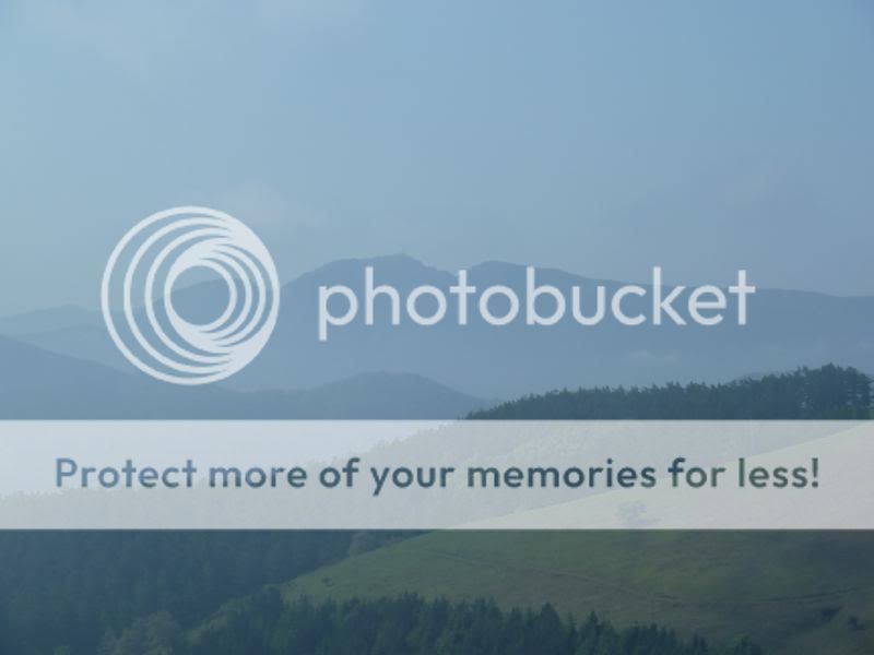 Photo Sharing and otobucVideo Hosting at Phket