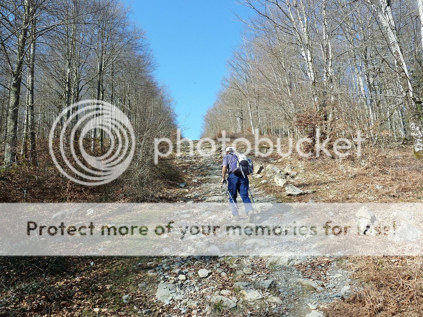 Photo Sharing and Video Hosting at Photobucket