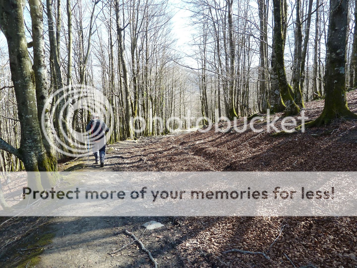 Photo Sharing and Video Hosting at Photobucket