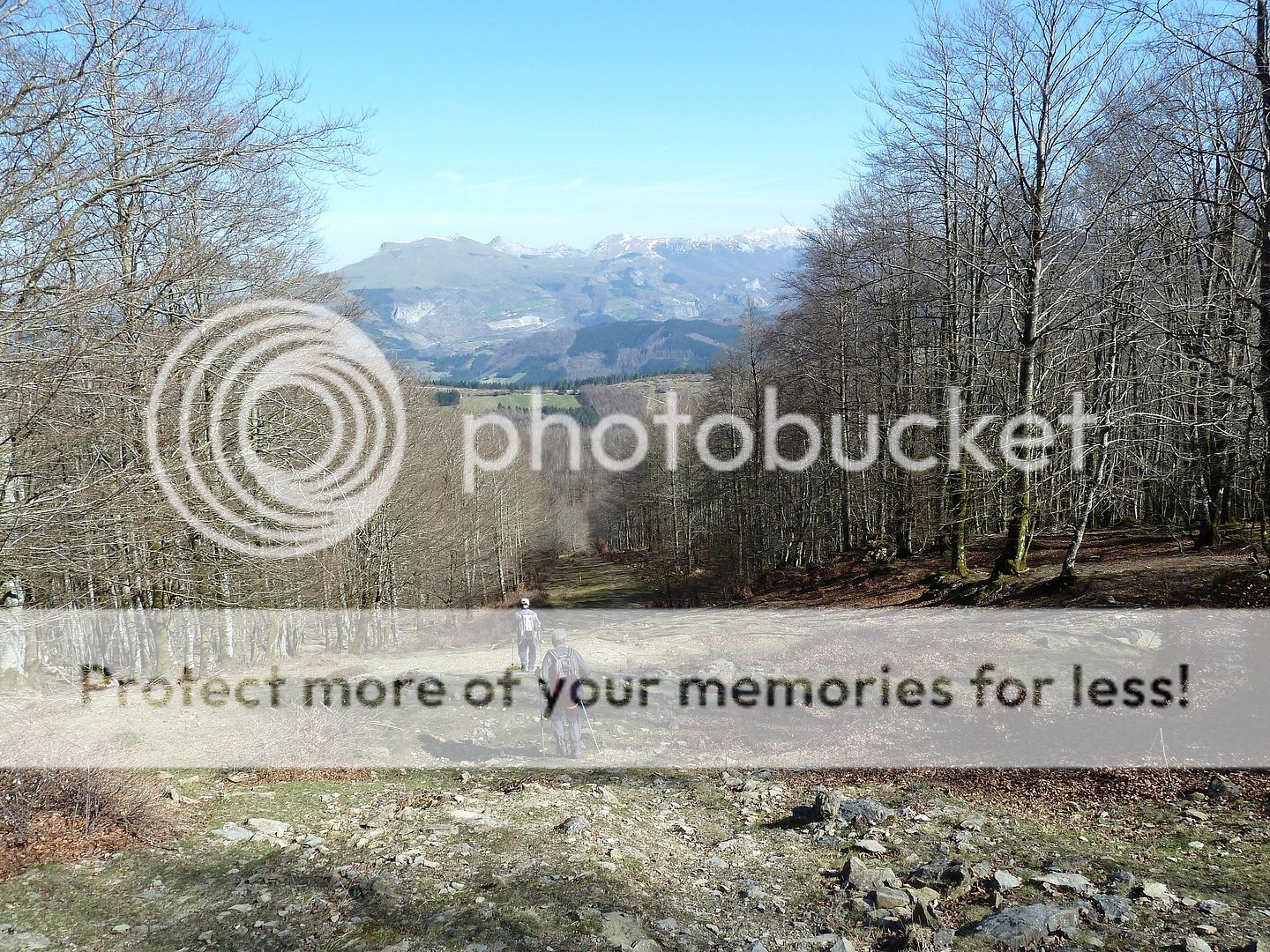 Photo Sharing and Video Hosting at Photobucket