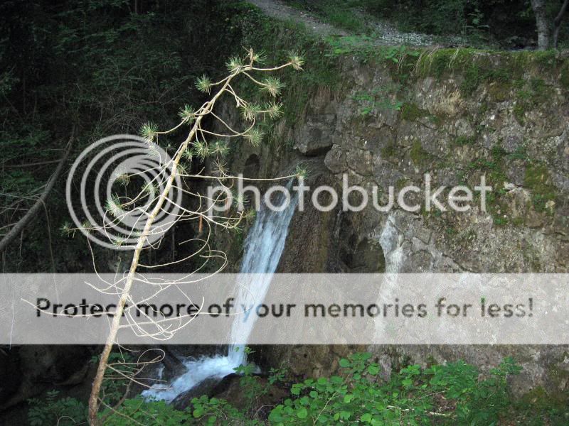 Photo Sharing and Video Hosting at Photobucket