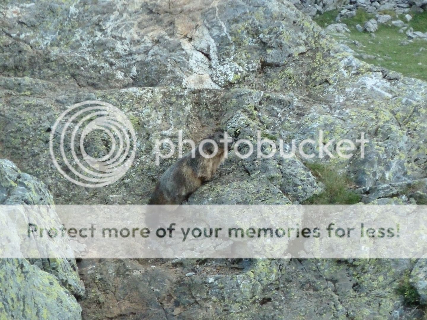 Photo Sharing and Video Hosting at Photobucket