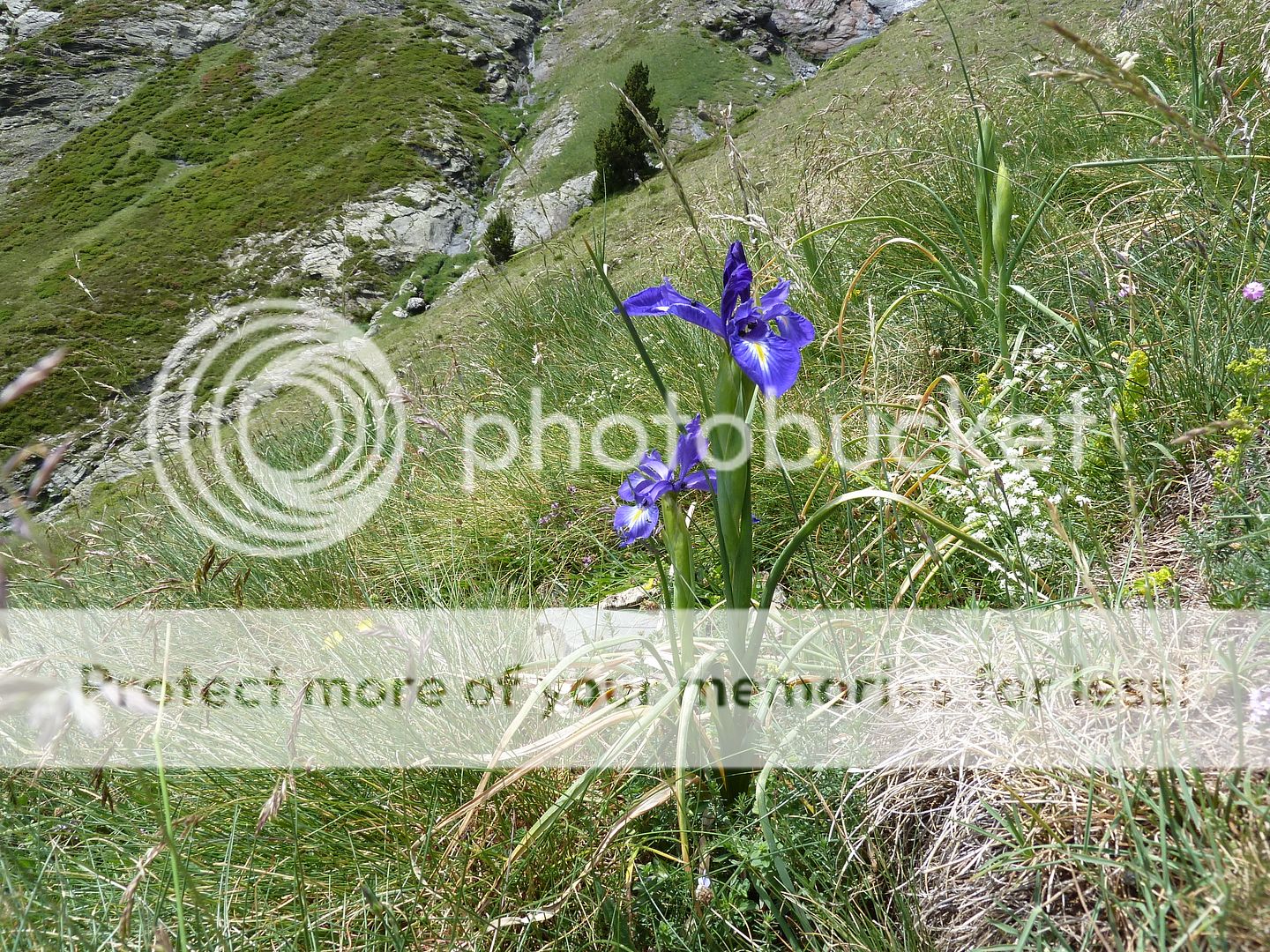 Photo Sharing and Video Hosting at Photobucket