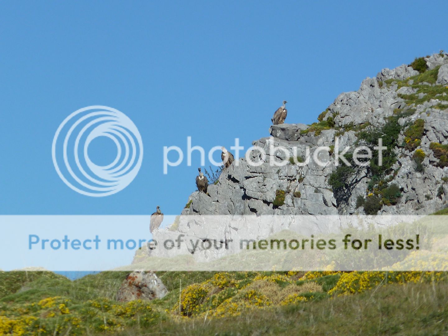 Photo Sharing and Video Hosting at Photobucket