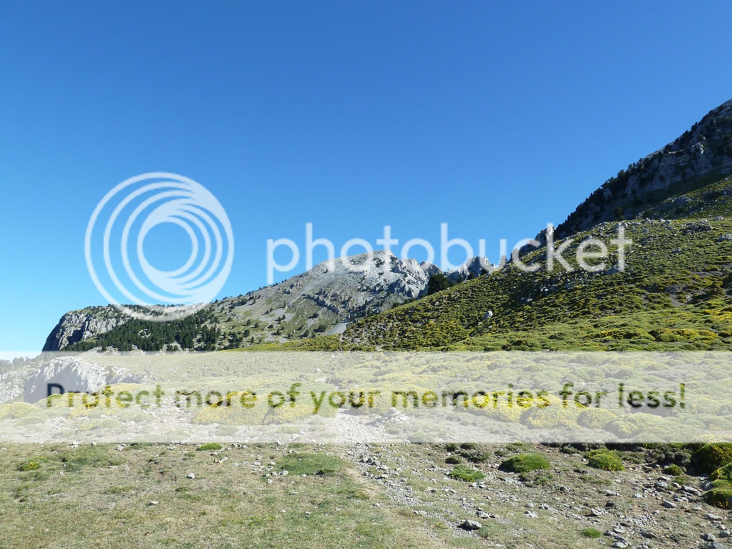 Photo Sharing and Video Hosting at Photobucket