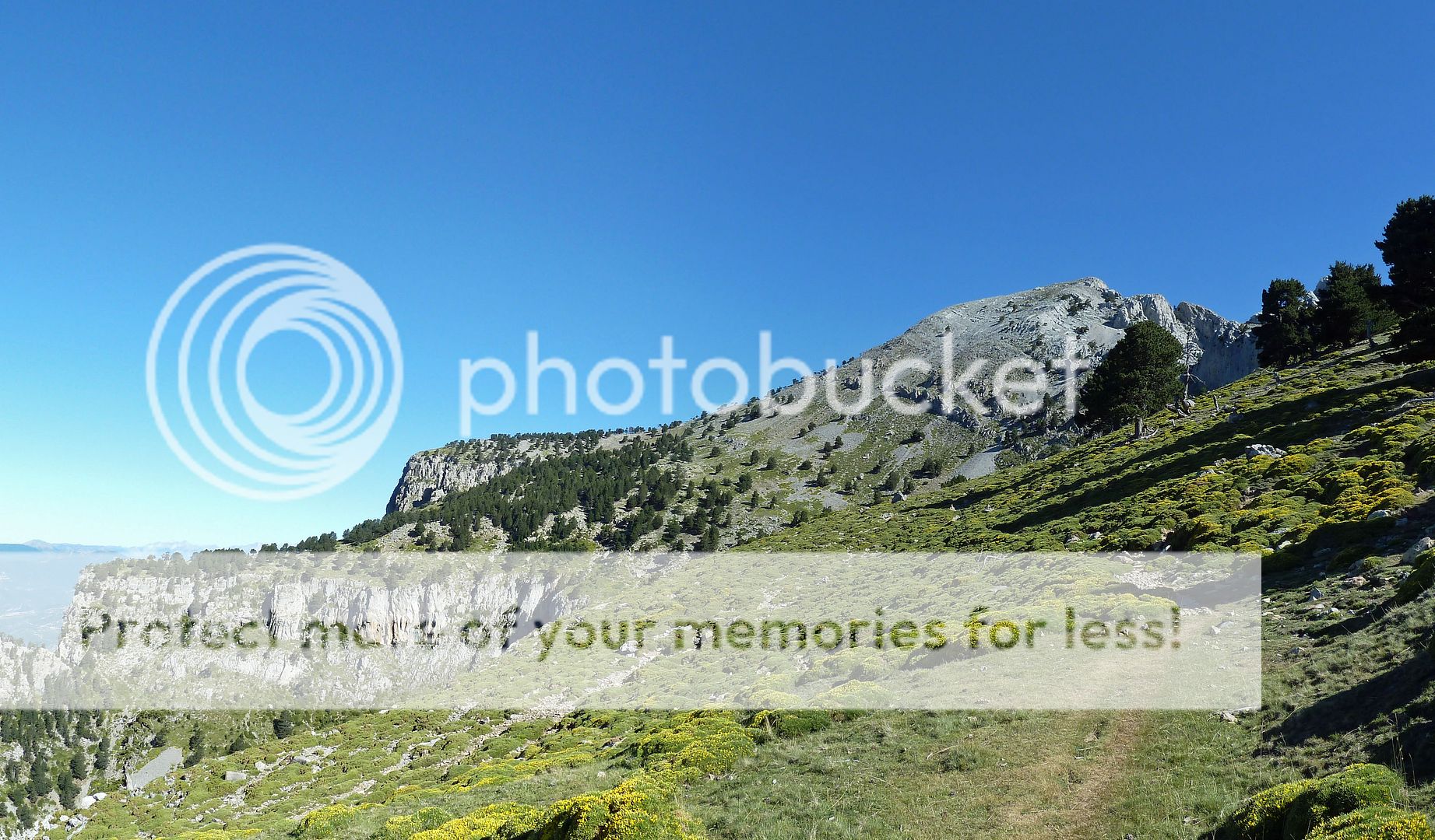 Photo Sharing and Video Hosting at Photobucket