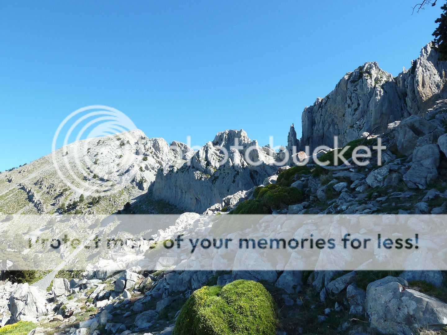 Photo Sharing and Video Hosting at Photobucket