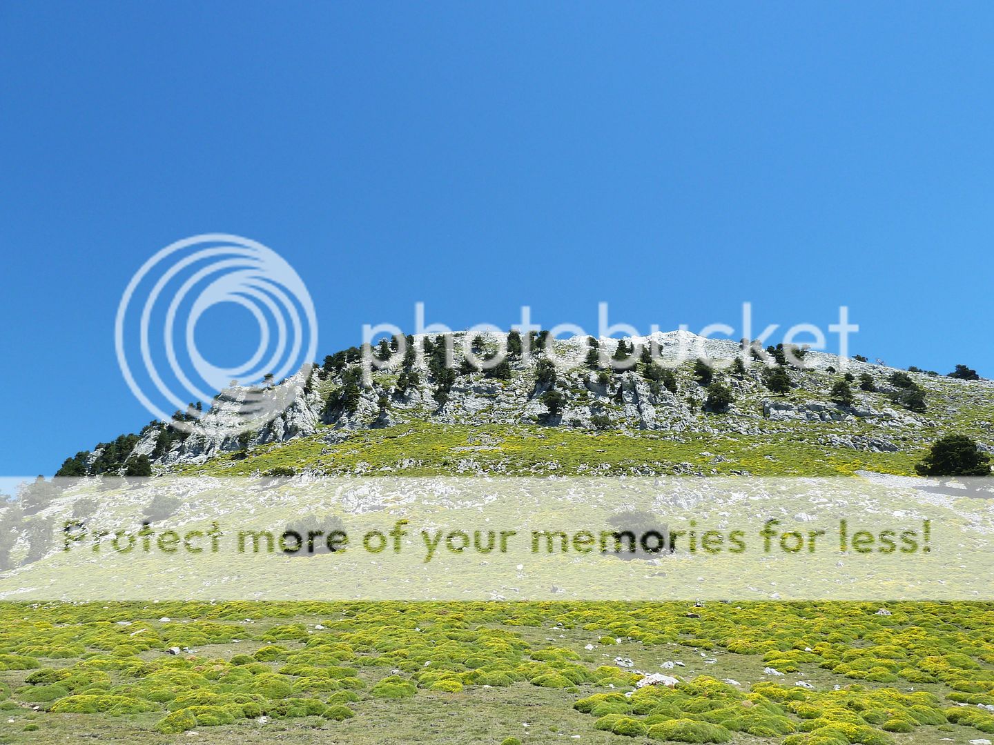 Photo Sharing and Video Hosting at Photobucket