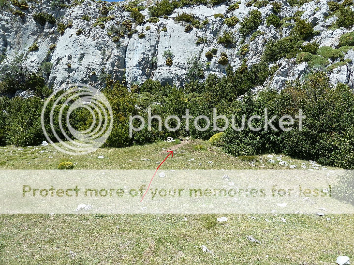 Photo Sharing and Video Hosting at Photobucket