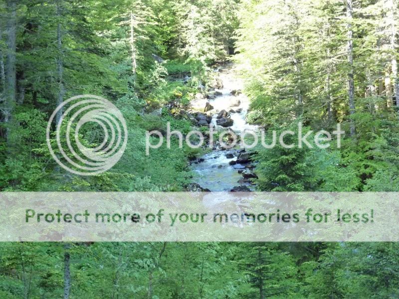 Photo Sharing and otobucVideo Hosting at Phket