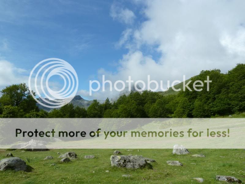 Photo Sharing and otobucVideo Hosting at Phket