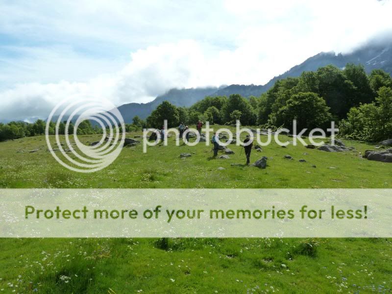 Photo Sharing and otobucVideo Hosting at Phket