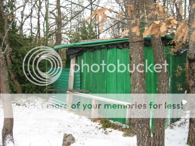 Photo Sharing and Video Hosting at Photobucket