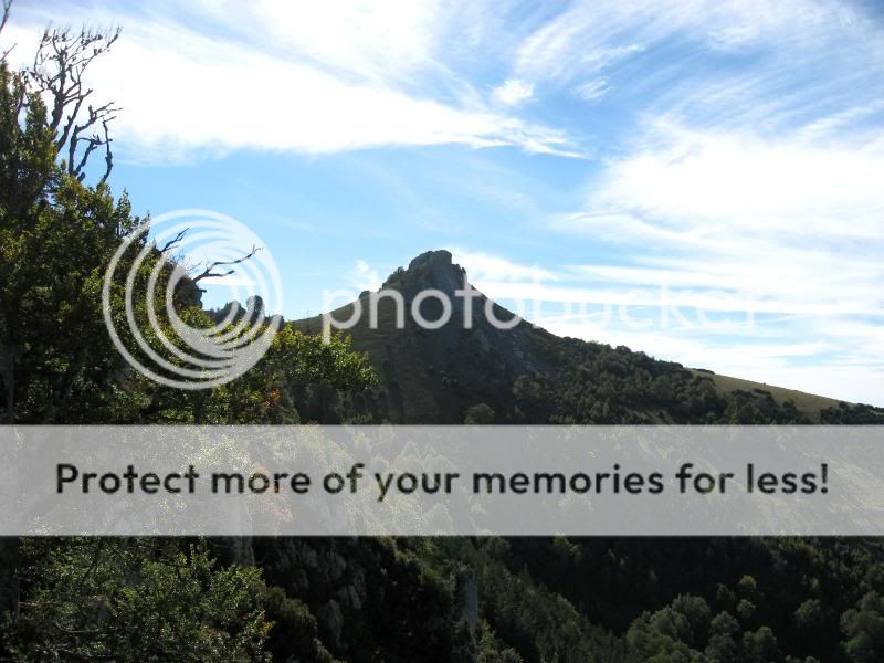 Photo Sharing and Video Hosting at Photobucket