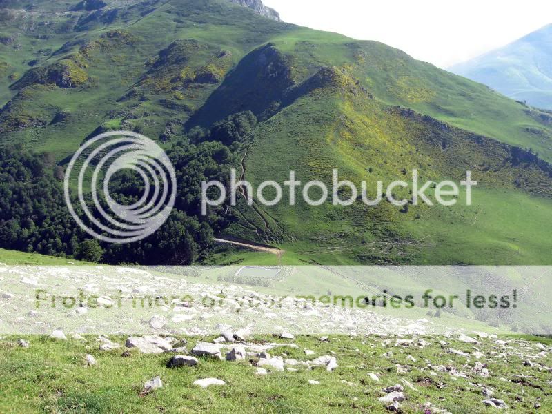 Photo Sharing and Video Hosting at Photobucket