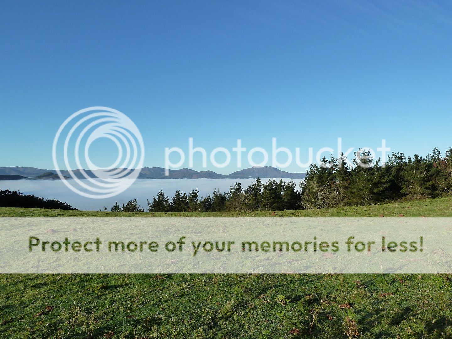 Photo Sharing and Video Hosting at Photobucket