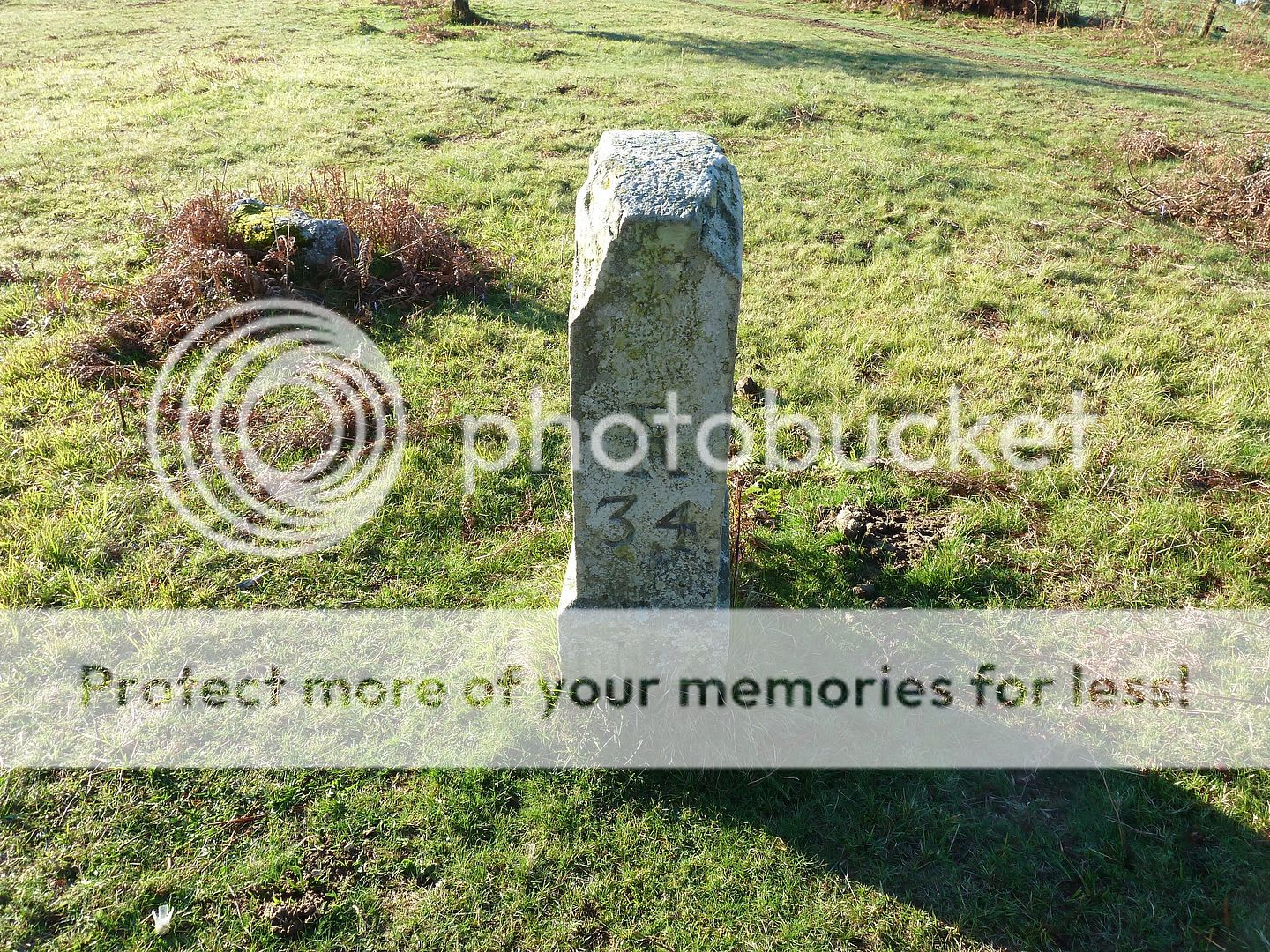 Photo Sharing and Video Hosting at Photobucket