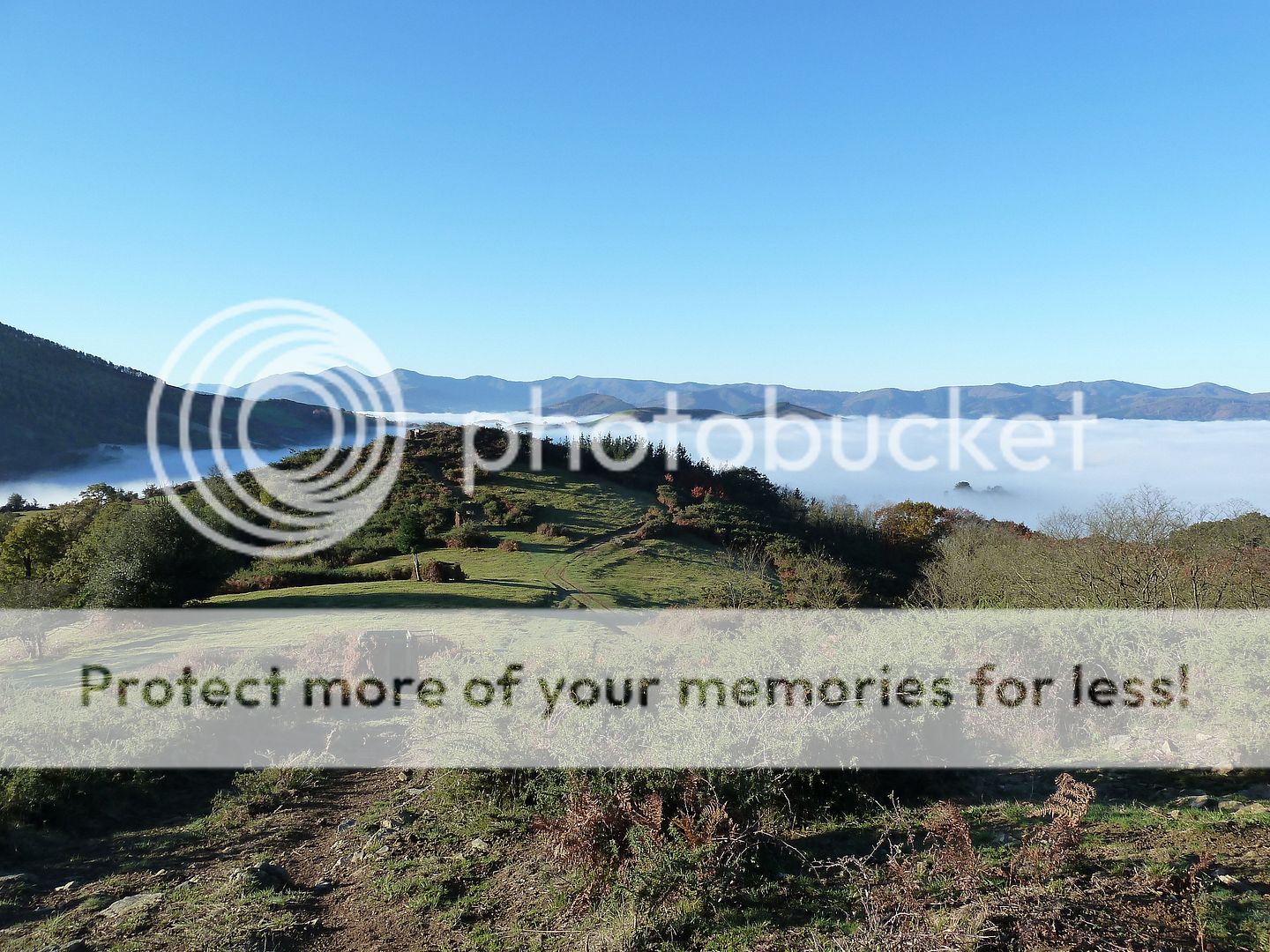Photo Sharing and Video Hosting at Photobucket