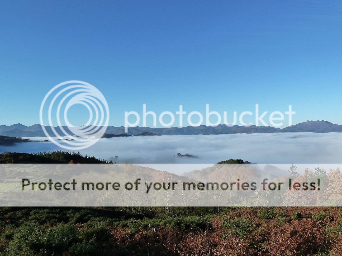 Photo Sharing and Video Hosting at Photobucket