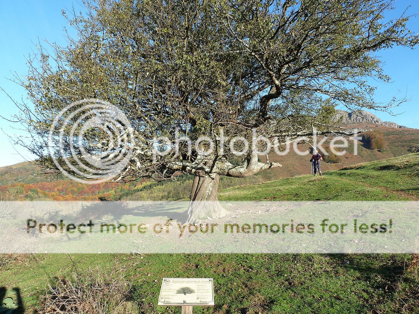 Photo Sharing and Video Hosting at Photobucket