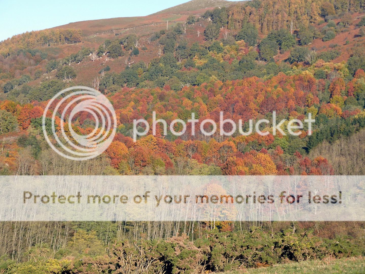 Photo Sharing and Video Hosting at Photobucket