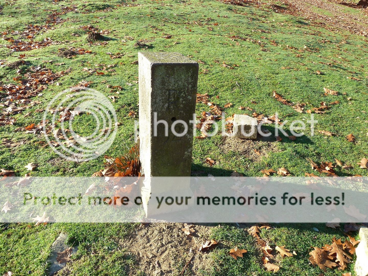 Photo Sharing and Video Hosting at Photobucket