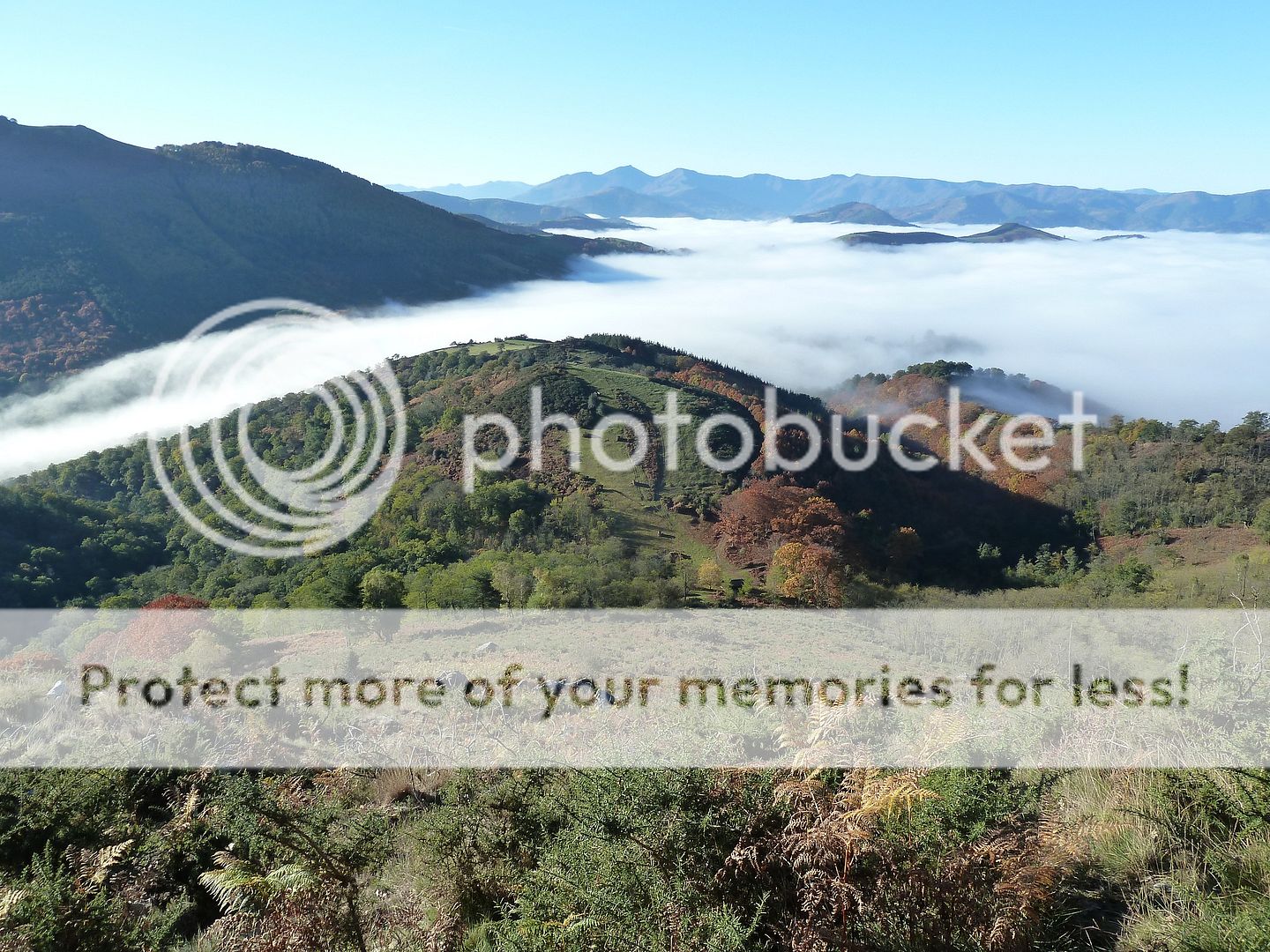 Photo Sharing and Video Hosting at Photobucket