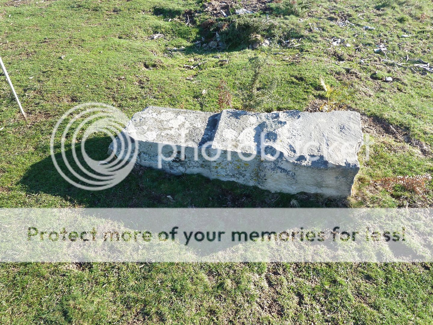 Photo Sharing and Video Hosting at Photobucket