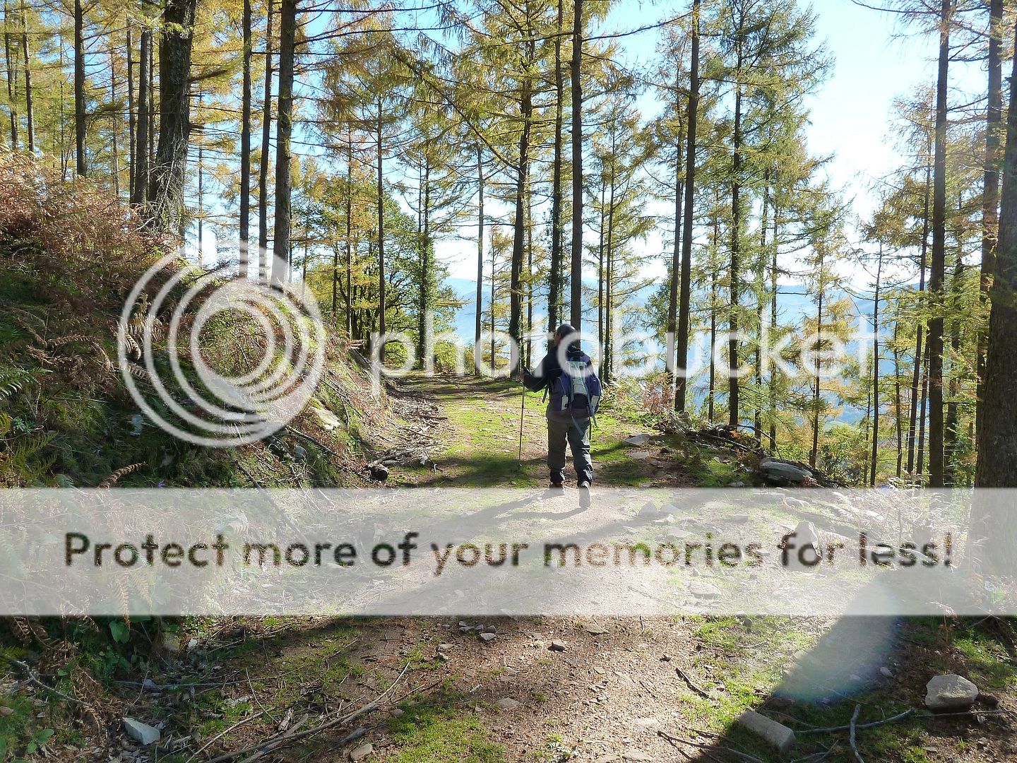 Photo Sharing and Video Hosting at Photobucket