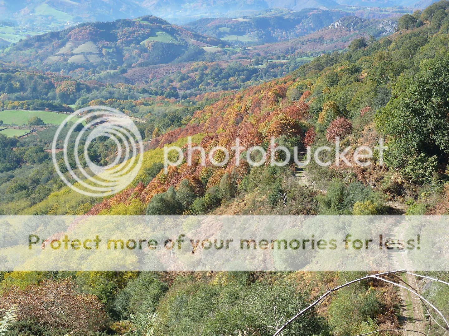 Photo Sharing and Video Hosting at Photobucket
