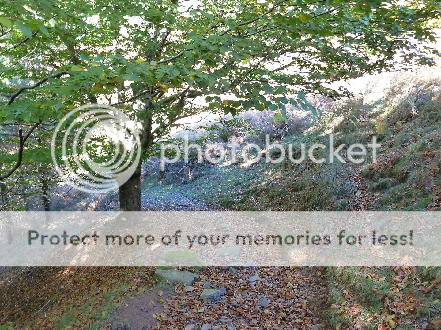 Photo Sharing and Video Hosting at Photobucket