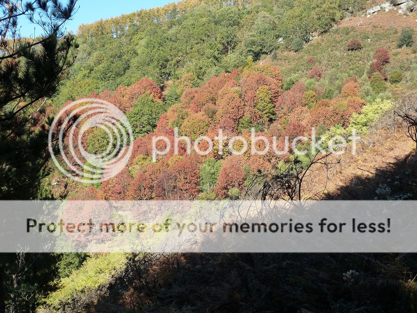 Photo Sharing and Video Hosting at Photobucket