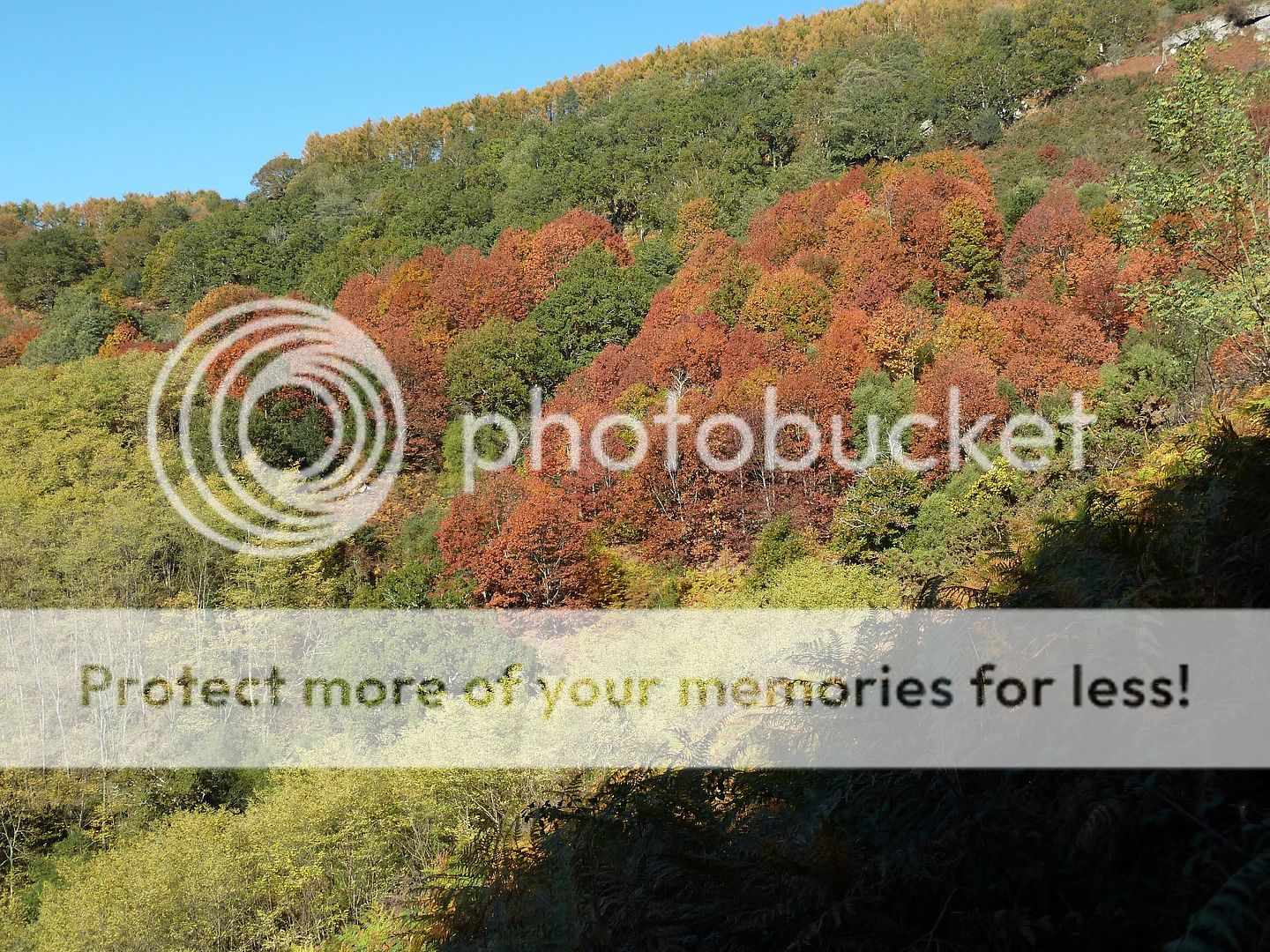 Photo Sharing and Video Hosting at Photobucket