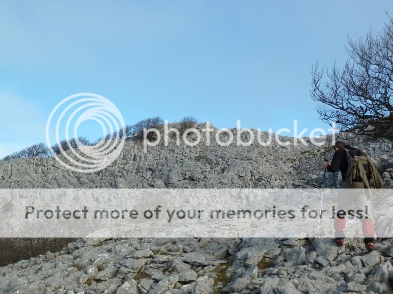 Photo Sharing and Video Hosting at Photobucket