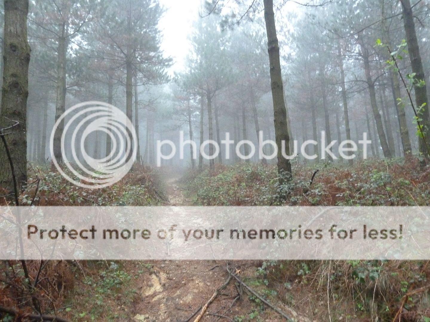 Photo Sharing and Video Hosting at Photobucket