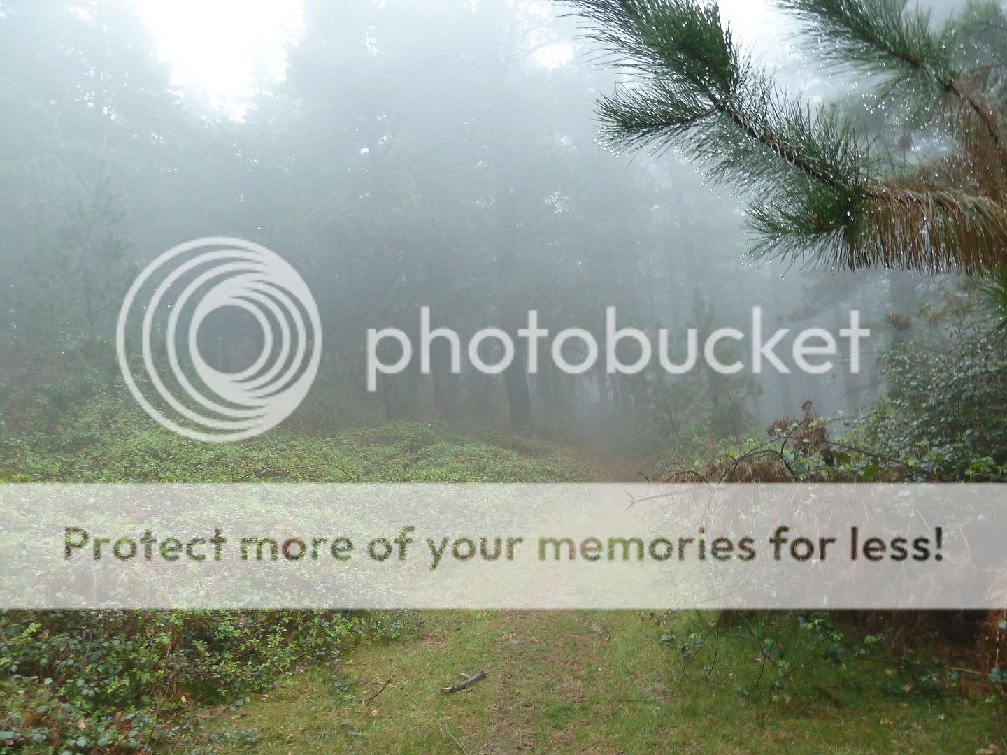 Photo Sharing and Video Hosting at Photobucket