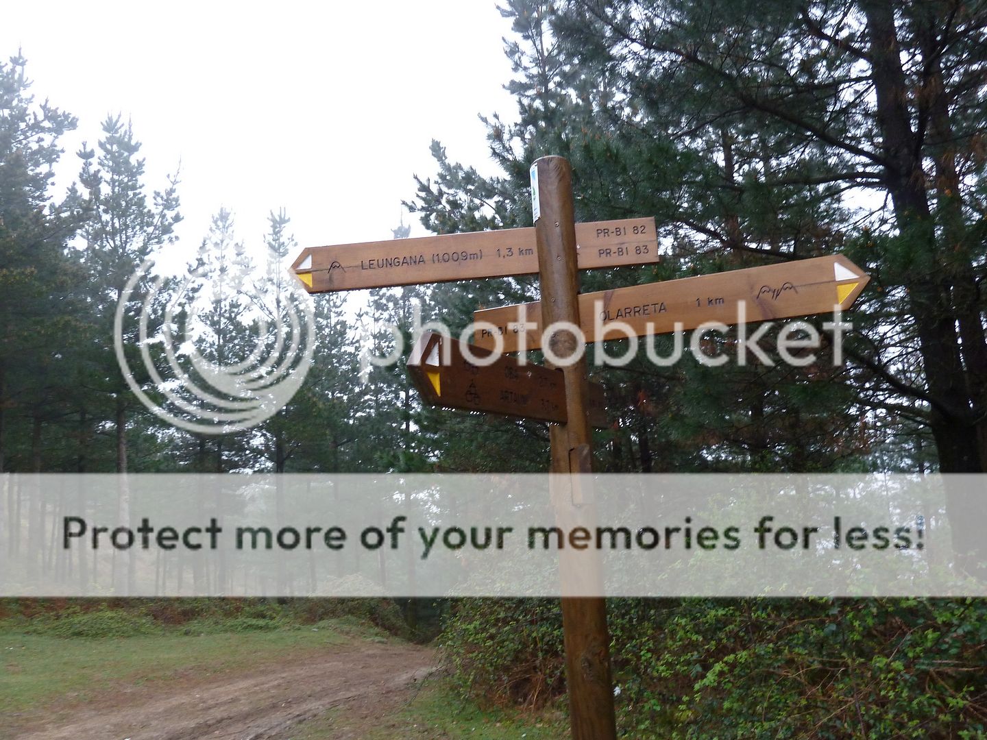 Photo Sharing and Video Hosting at Photobucket
