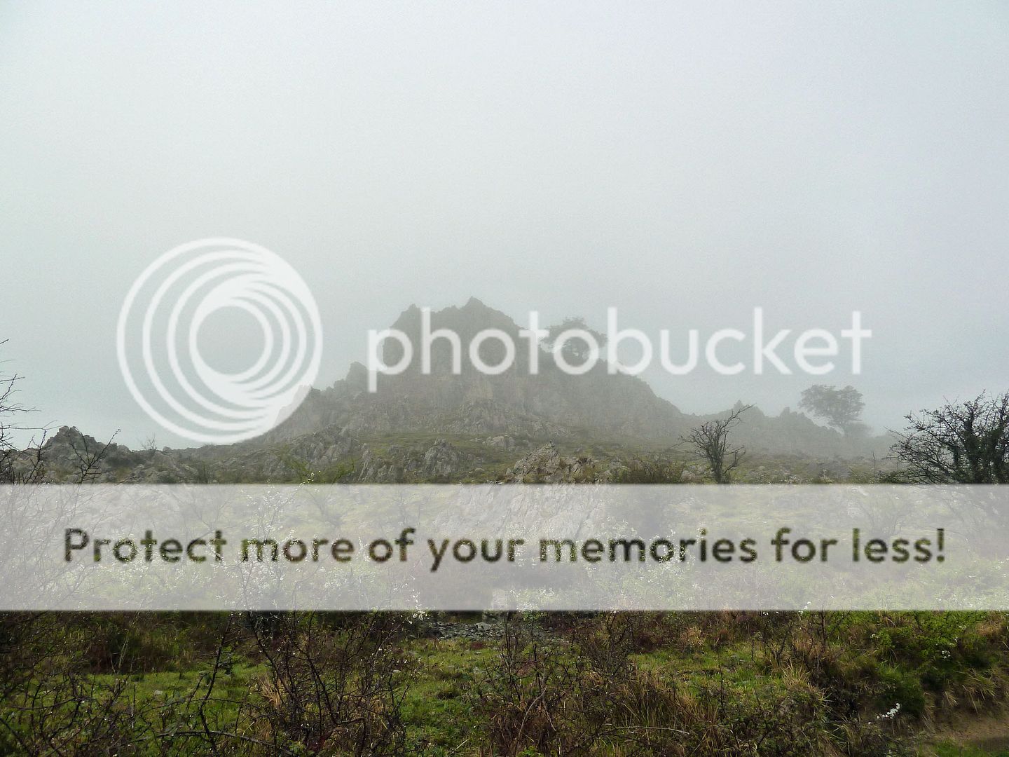 Photo Sharing and Video Hosting at Photobucket