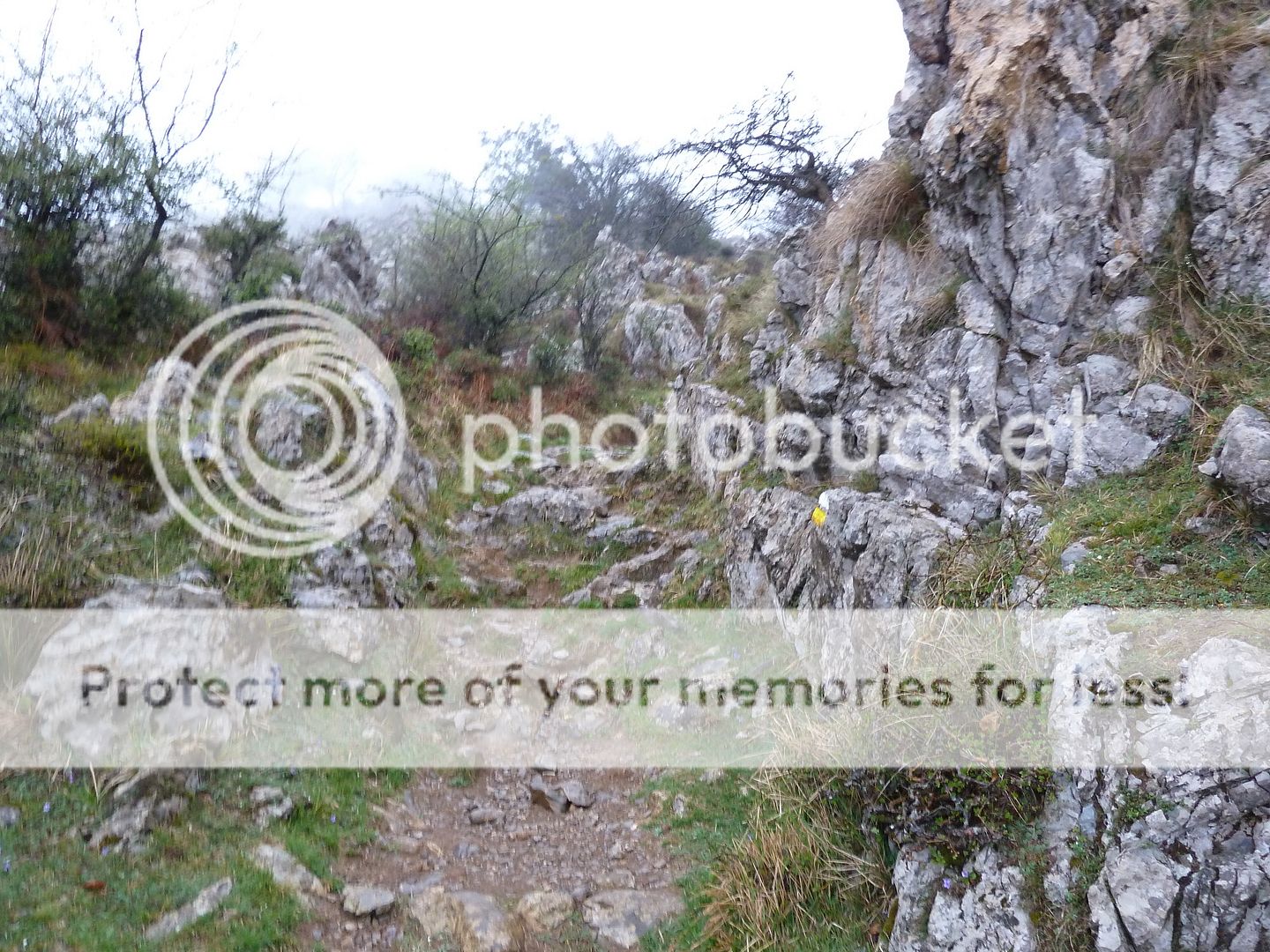 Photo Sharing and Video Hosting at Photobucket